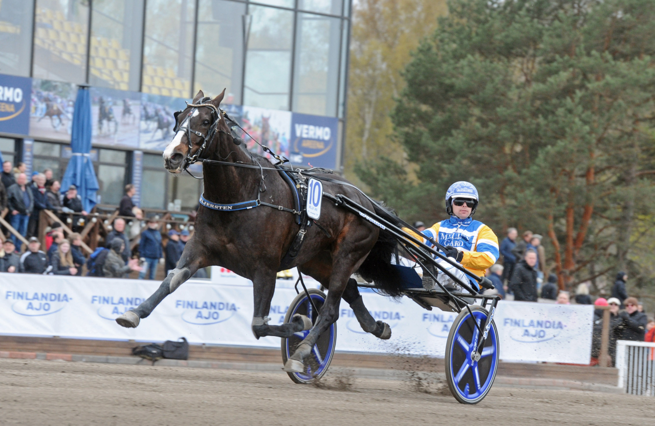 Mellby Jinx flyger fram till seger i Finlandia-Ajo ytterst i banan för Daniel Wäjersten. Foto: Adam Ström/stalltz.se
