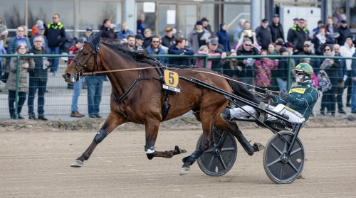 Äntligen en storseger!