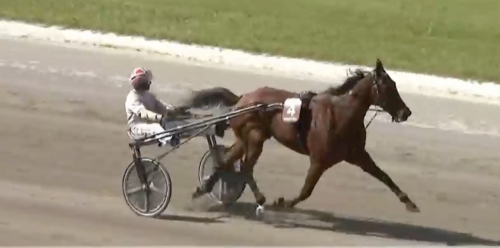 Uppvisning av Dubhe Prav