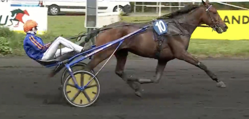 Andra raka för Magnolia