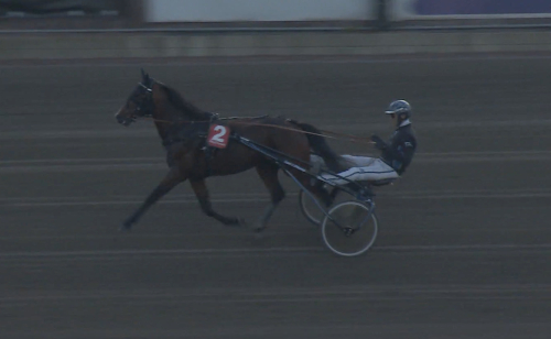 En fascinerande stamtavla