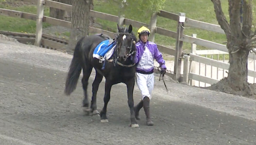 Modig vinnare från spets