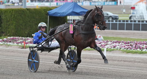 Comeback av The Locomotive