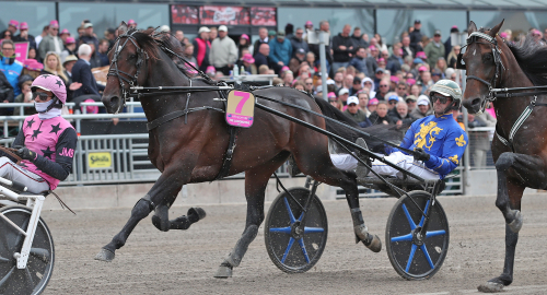 Boden sedan Årjäng?