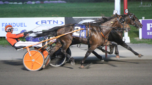 ”En häst med alla verktyg”