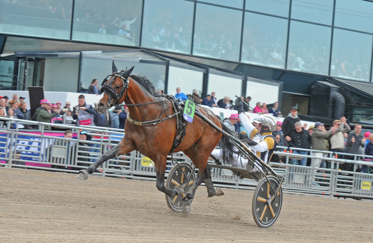 Wise Guy och Per Nordström vinner på nytt världsrekord. Foto: Adam Ström/stalltz.se