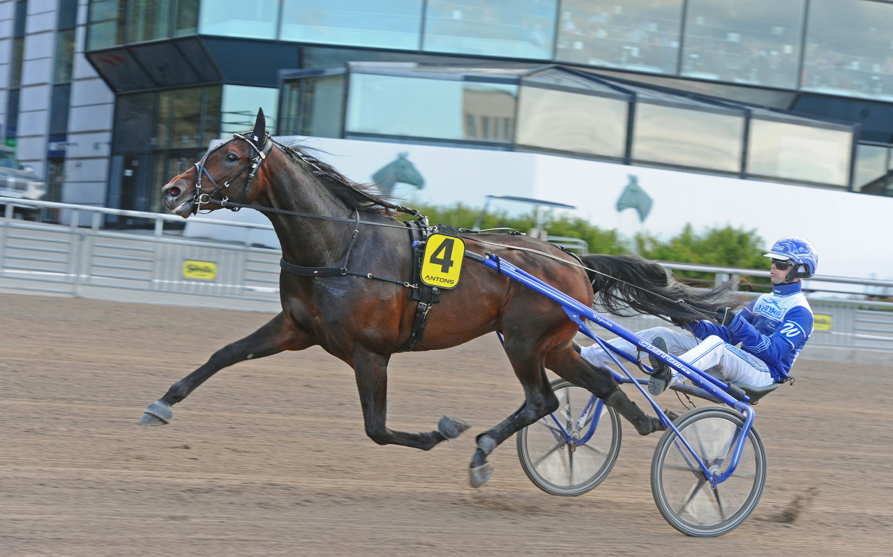 Youans Son vinner för sin tränare Daniel Wäjersten. Foto: Adam Ström/stalltz.se
