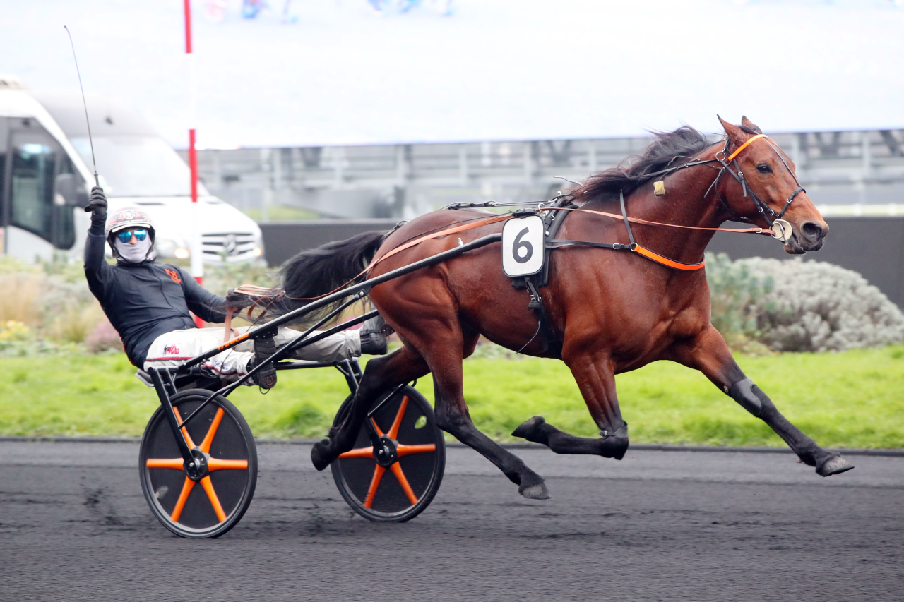 Jabalpur och Gabriele Gelormini, som också sitter i sulkyn i Elitloppet. Foto: Scoopdyga