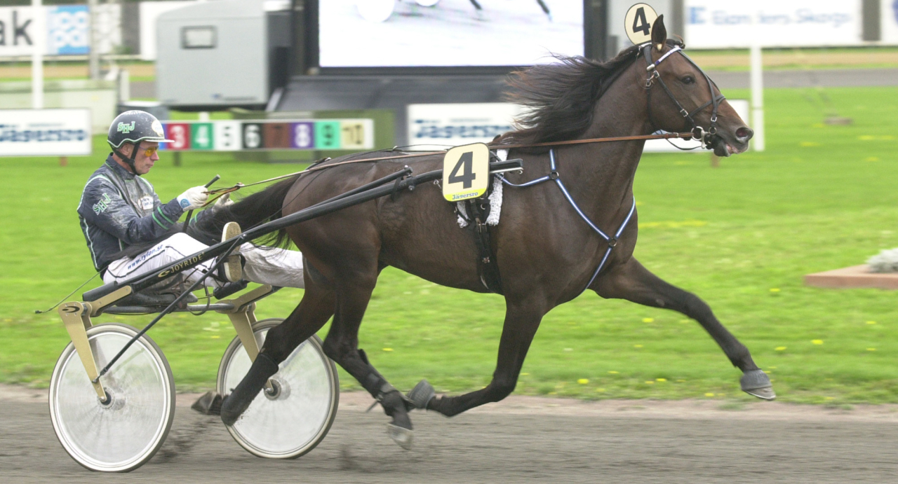 Över 18 miljoner kronor sprang Gotlandsuppfödde Digger Crown in under tävlingskarriären hos Stig H Johansson. Idag körs hans minneslopp i Visby. Foto Stalltz.se