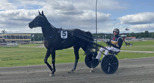 Lyck har en dröm om Elin