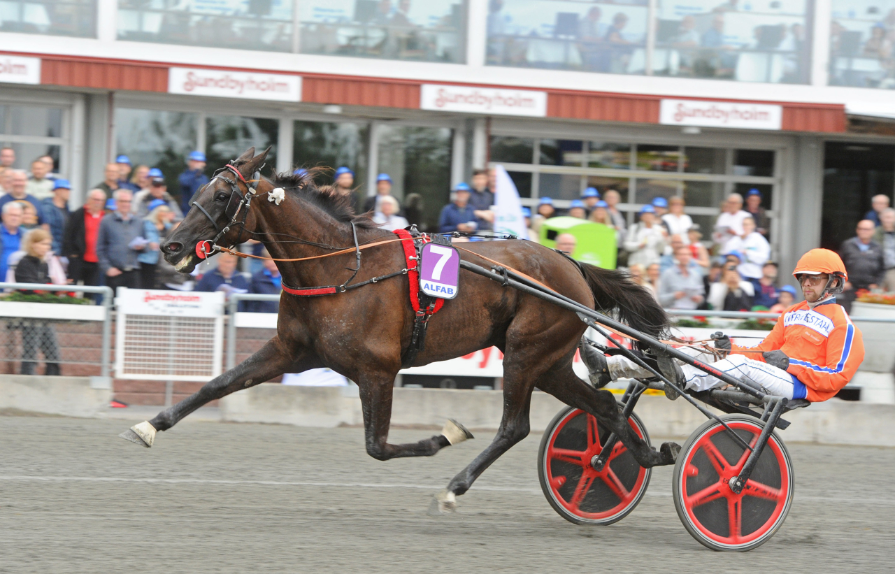 Easy di Girifalco tillsammans med Magnus A Djuse. Foto: Adam Ström/stalltz.se