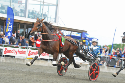 V75-tips: Spikar emot favorit