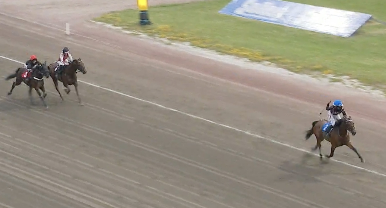 Kristine Kvasnes kunde jubla i god tid före mållinjen när Thor Borg-tränade Forst One Diamond var helt överlägsen i Åby Monté Trophy. Skärmbild ATG Live