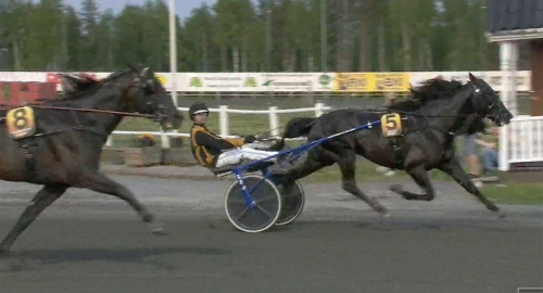 V75: Wäjerstens nya miljonseger