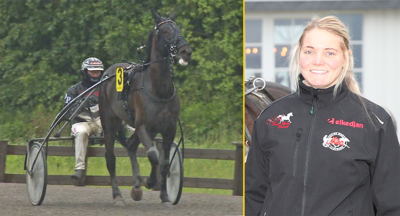 Maria Törnqvist-tränade Henessi Butja satte världsrekord i Åmål igår.