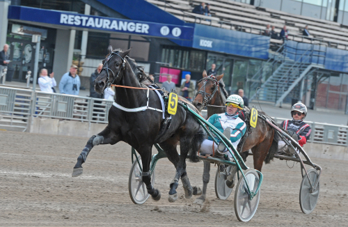Sju vann på 1.15-tider