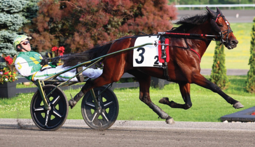 In the Black imponerade