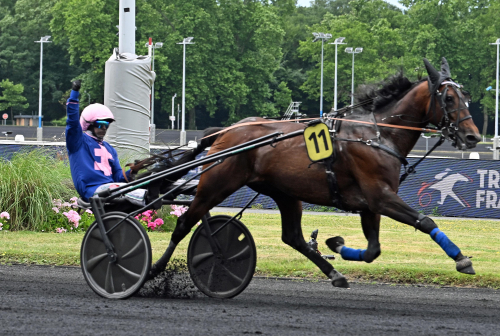 Kanto Avis spetsvann