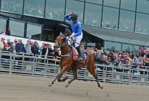 Montélopp i blickfånget