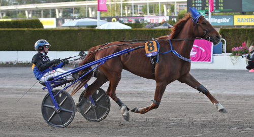 ”Blir Kalmar nästa lördag”