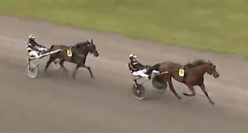 Vilken formförbättring