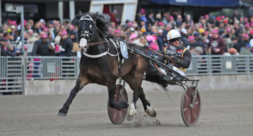 V86: Alsén har inte gett upp på förhand