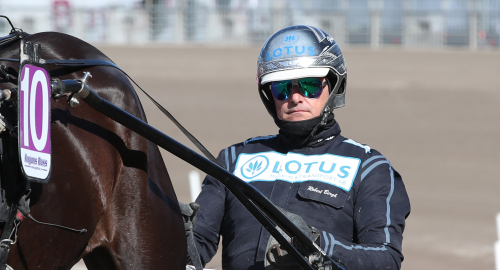 Toppform på stall Bergh