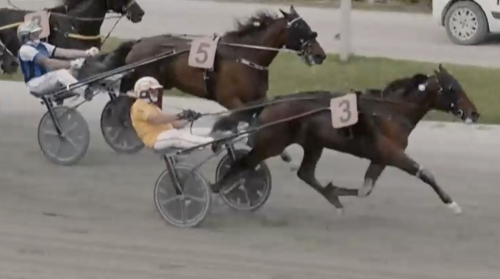 B A Superhero vann i Bologna