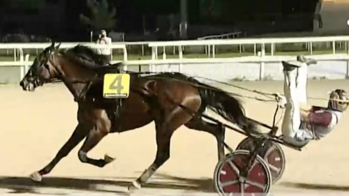 Enkelt för Ginostrabliggi