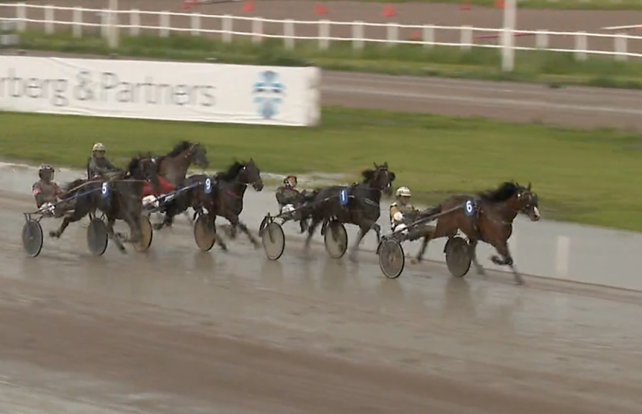 Från spets blev det en enkel vinst för Wise Guy, som satte världsrekord o starten innan på Solvalla.