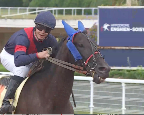 Diskade svenskar i Paris