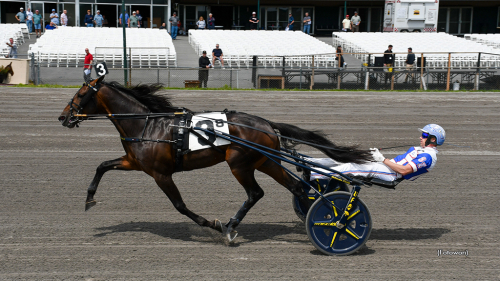 Super Chapter slog Maryland