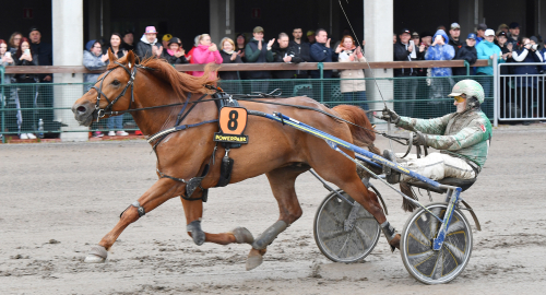 Finske kungen överlägsen