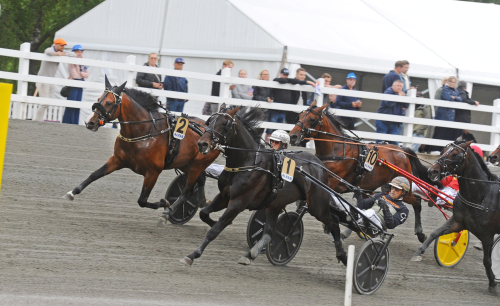 Kungar och drottningar