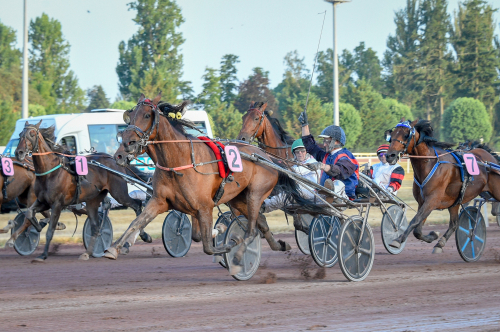 71-åring i huvudroll