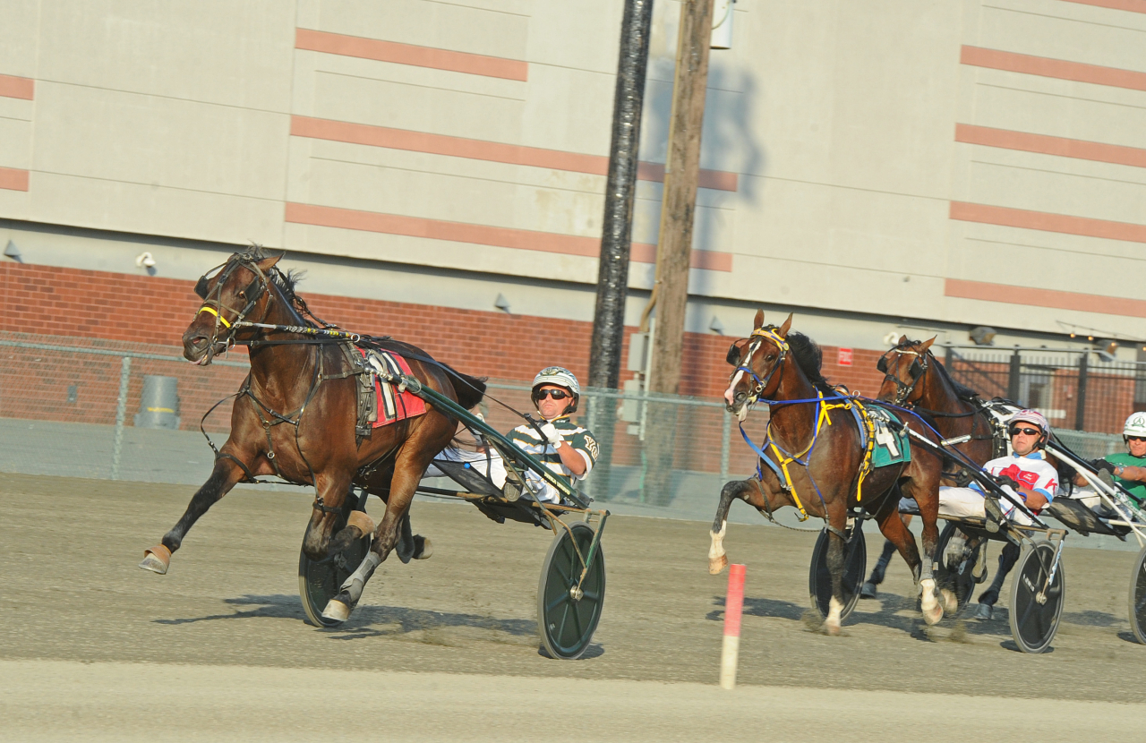 Ai vinner för Yannick Gingras. Foto: Adam Ström/stalltz.se