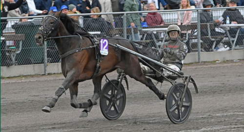 Dwight vann Wången Cup