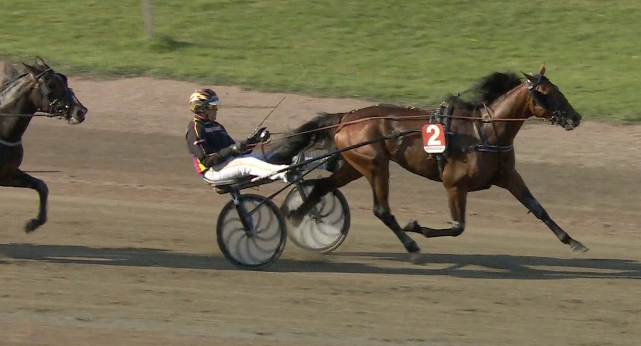 Fragolino Rosso imponerade från dödens i Breeders Course-finalen för treåriga hingstar och valacker. Skärmbild ATG Live