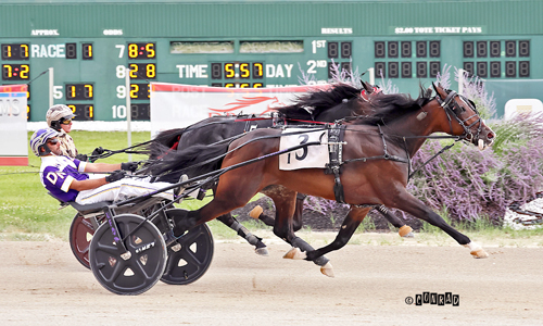 Banrekord av Takter-sto