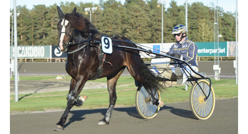 Dannero V75: Åberg med två kalla