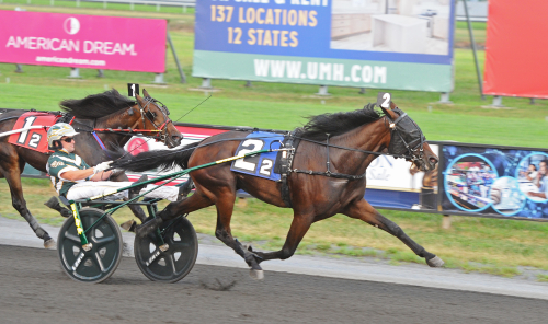 Rent hus av svenskar