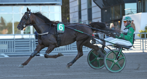 5 x Westholm på Romme