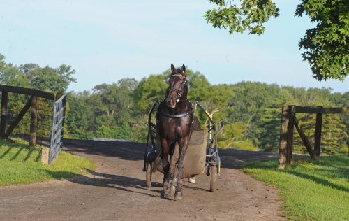 Skriver historia i 100:e upplagan?