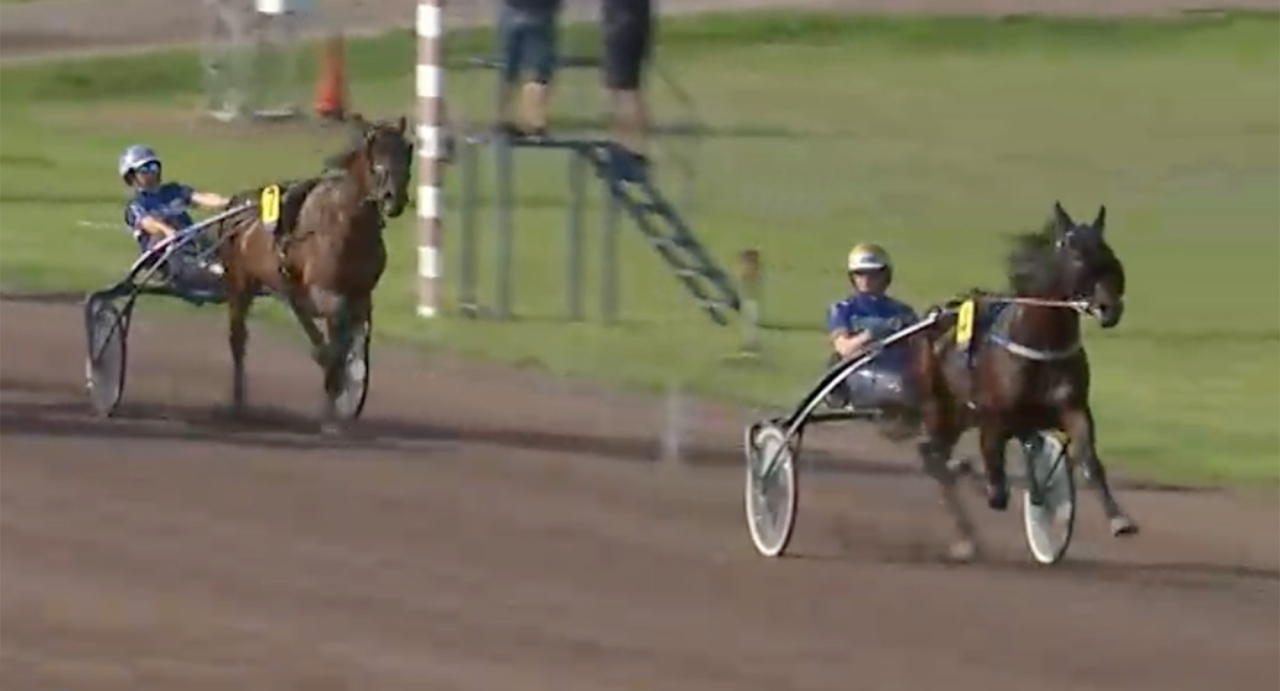 Timo Nurmos-tränade Mazzola och Björn Goop svarade för en finfin debut i Mantorp igår. Skärmbild ATG Live