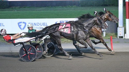 Hambo-fest för svenskar