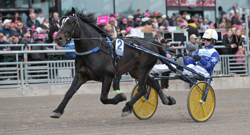 V86-tips: Fem vinnare senast