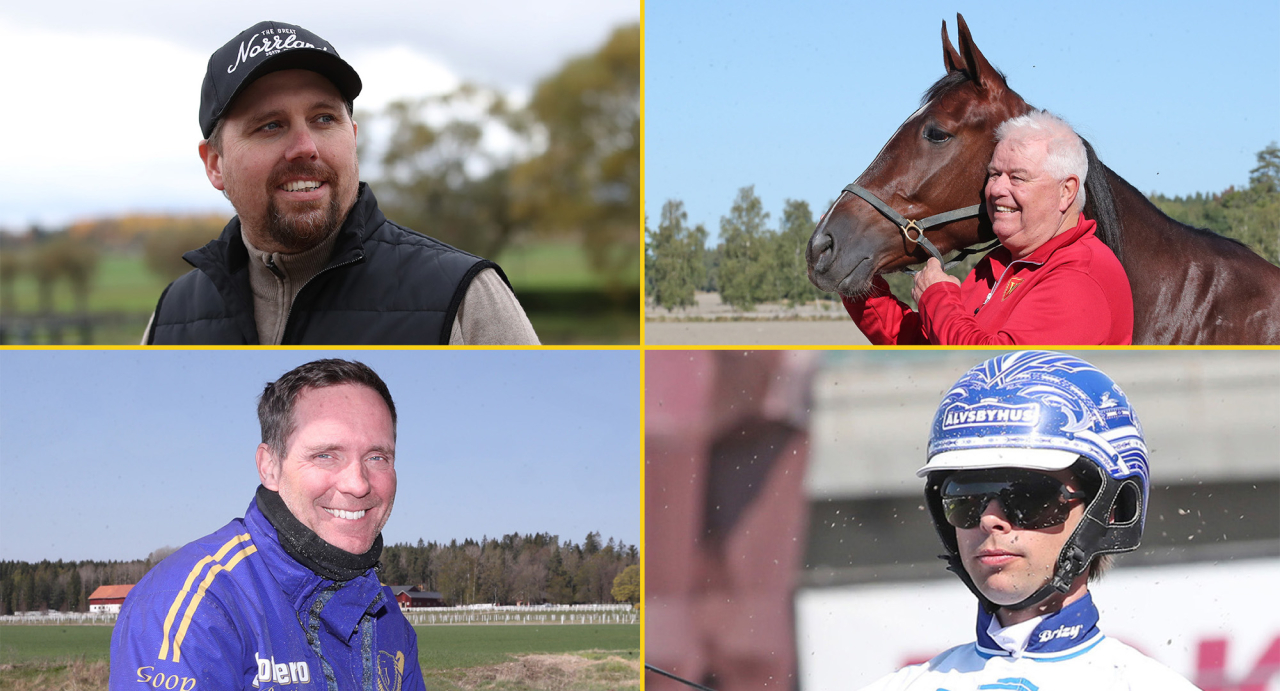Tränarna som vunnit Stochampionatet och vill göra det igen: Daniel Redén, Roger Walmann, Björn Goop och Daniel Wäjersten. Foto Mathias Hedlund/Sulkysport