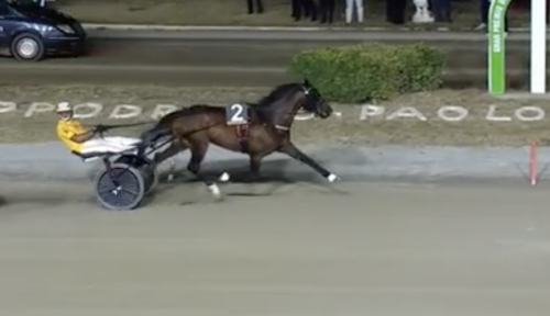 Dubbel i Grupp I-lopp