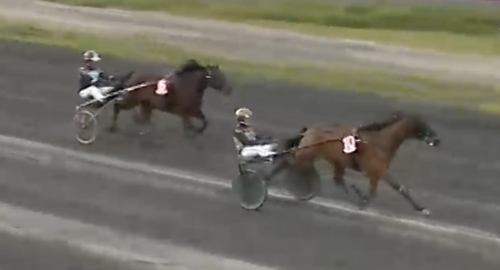 ”Hon trivdes på banan”