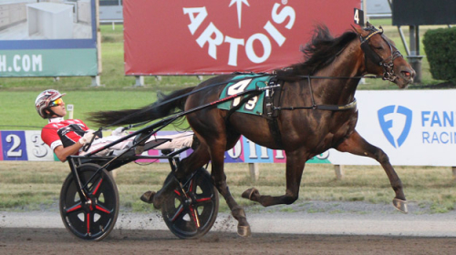 Tio blågula chanser